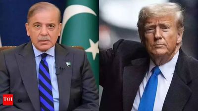 'Stand up': Trump puts Pakistan PM Sharif on spot at Board of Peace meet - watch