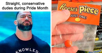 50 Memes That Range From Wild To “What Did I Just Read?”