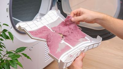 I love gardening and hate waste — here's 5 ways I reuse dryer lint in my yard