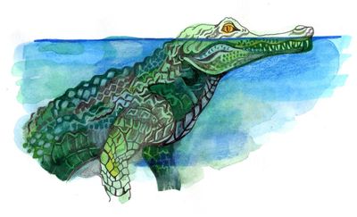 How long can crocodiles stay under water without breathing? The kids’ quiz