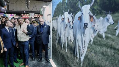 Paris farming show opens without cows for first time due to disease concerns