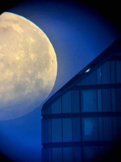 ‘It brings the moon down to Earth’: Mimi Mollica’s best phone picture