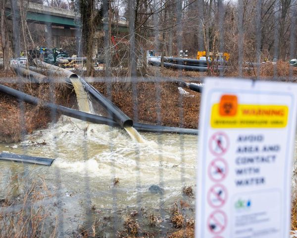 Trump approves federal emergency declaration for Potomac River sewage spill