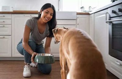 Are We Loving Our Pets Too Much Or the Wrong Way?