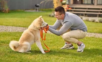 The Emotional Needs of Pets We Often Forget