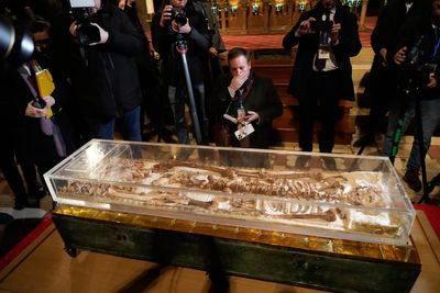 St Francis of Assisi’s bones go on public display for first time