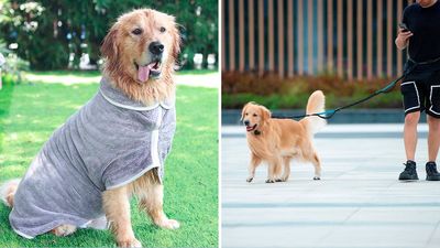 45 Clever Things For Dogs That'll Make Your Life Way Less Stressful