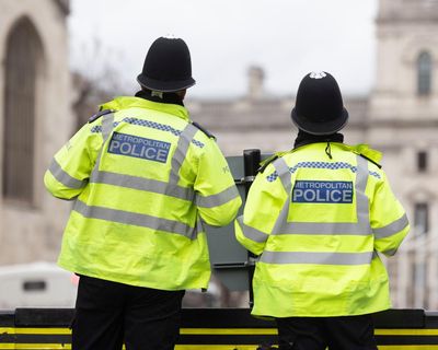 Met police using AI tools supplied by Palantir to flag officer misconduct