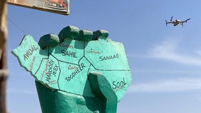 US can access Somaliland's minerals and military bases, says minister