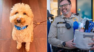Abandoned Las Vegas airport Dog finds a forever Home with the Officer who saved him