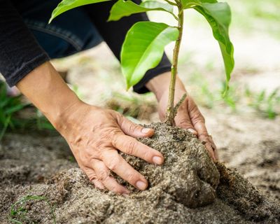 Readers reply: what would be the most socially useful way to spend a billion dollars?