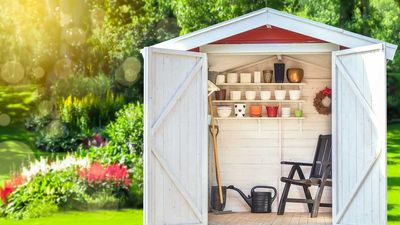 Declutter Your Garden Shed in 30 Minutes – Six 5-Minute Wins for Instant Order