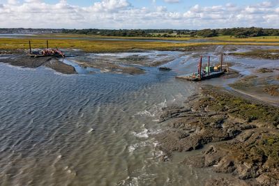 Harbour-dredged mud used for ‘remarkable’ restoration of protective saltmarsh