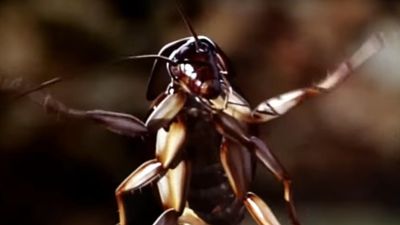 Joe's Apartment Was A Strange Choice For MTV's First Movie Release In The ‘90s, Here's Why I Approve