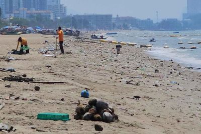 Pattaya’s Jomtien beach covered in rubbish