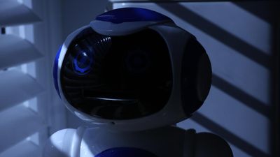 AI chatbots no substitute for human friends