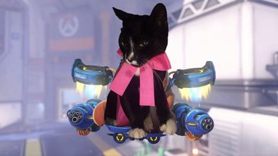 In the best thing Overwatch has brought to the world in years, fans flood the internet with edits of their own pets cosplaying as Jetpack Cat