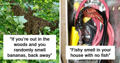 “Literally Saved My Life”: 57 Odors You Should Never Ever Dismiss