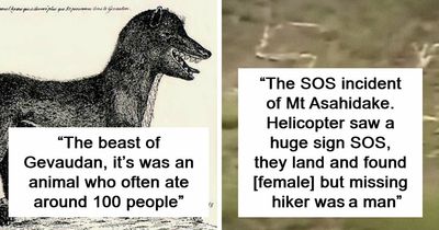 45 Cold Cases That Still Trouble Entire Countries