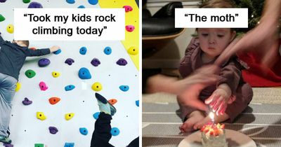 47 Perfectly Timed Photos That Turn Ordinary Moments Into Comedy