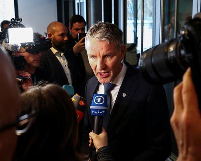 The AfD is flirting with Nazi history – but moral outrage alone won’t stop the far right