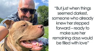 Family Returned This 9-Year-Old Dog After A Terminal Diagnosis, Then Her Former Foster Stepped In