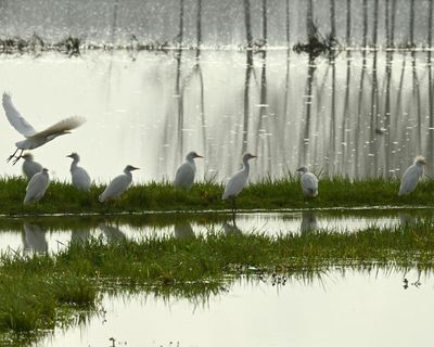 Weather tracker: Early taste of spring to sweep parts of Europe