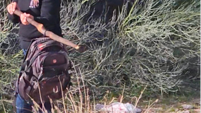 Nancy Guthrie Update: 'Ozark Trail' Backpack Recovered In Hunt For Abductor