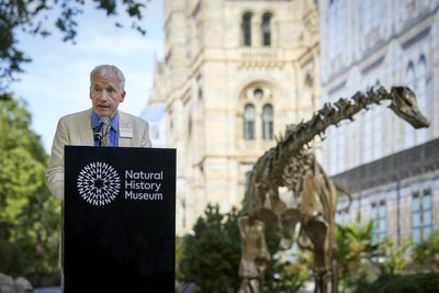 Former Amazon boss set to be next CMA permanent chairman