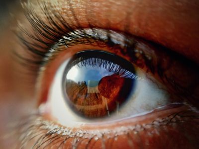 Common Pneumonia Bacterium Found in the Eye May Contribute to Alzheimer's Disease Risk