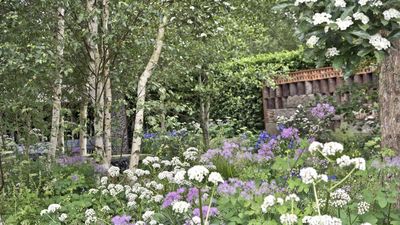 Garden Designers Reveal the Secrets to Creating A Whimsical Yard – For a Dreamy, Low-Maintenance Outdoor Space