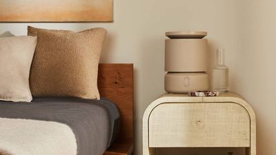 What is a humidifier used for? And what are the benefits of owning one?