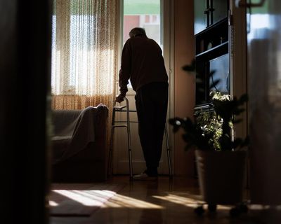 ‘Stuff of nightmares’: calls for help surge by 50% after Australia launches aged-assistance tool