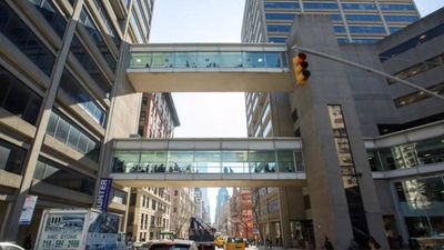 ‘They’re too dumb to know…’: New York professor under fire for racist remarks about black students