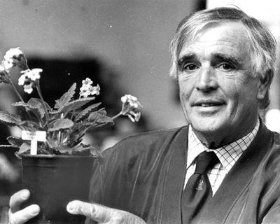 Joe Kennedy obituary