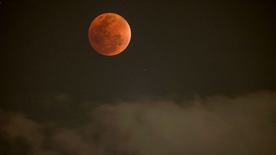 1 week until a breathtaking blood moon rises over the US during total lunar eclipse 2026