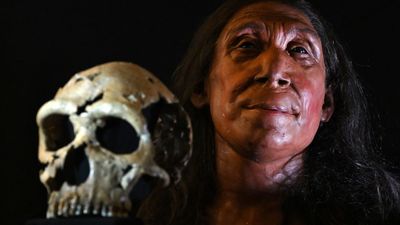 Neanderthals: Facts, news, features and articles about our extinct human relatives