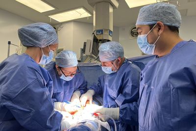 Deceased donor womb transplants give hope to couples wanting children