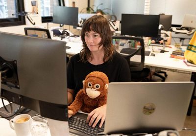‘What’s up with all these monkeys’: Djungelskog the orangutan comforted Punch – but can the Ikea toy help me?