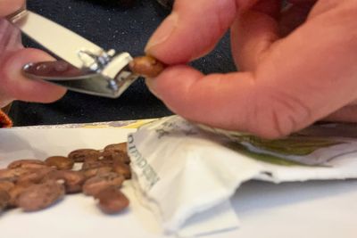 Scarification: The simple seed-starting trick that helps tough-coated seeds sprout faster