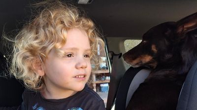 'Means everything to us': parents' plea on missing boy