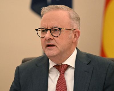 Albanese says One Nation doesn’t ‘represent working people’ and claims Pocock ‘seeks to promote grievance’