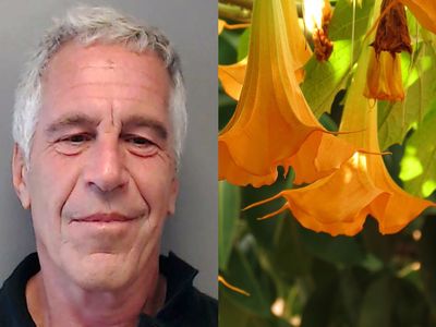 Scopolamine, the 'Zombie Drug?' Epstein Files Hint at Paedo's Knowledge of its Paralysis, Memory Effects
