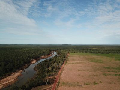 NT environmentalists ‘gobsmacked’ at federal green light to bulldoze nearly 3,000 hectares of tropical savanna