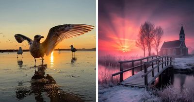 43 Gorgeous Sunset Photos From Around The World Shared By This Community