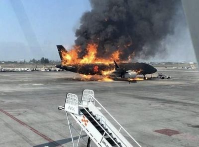 From Paradise to Panic: Travelers Caught in Mexico's Cartel Violence After El Mencho's Death