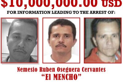 Bulletin world briefing: How Mexico killed cartel leader and virus kills 72 Thailand tigers