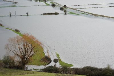 Bring in Dutch water experts to stop the endless cycle of flooding in Britain