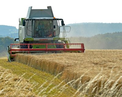 Farmers in England face losses under new cap on sustainable farming payments