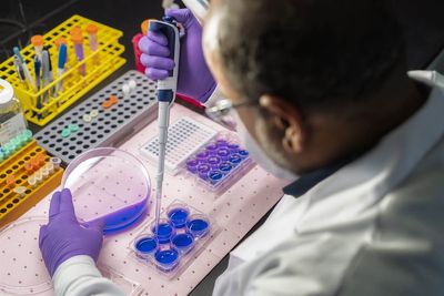 Boring Is Beautiful: Why Johnson & Johnson Is Beating the Tech Sector